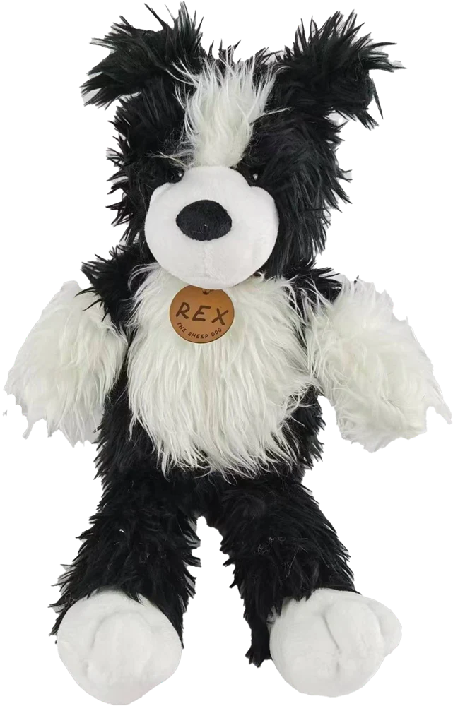Rex the NZ Sheepdog