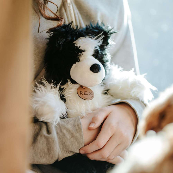 Rex the NZ Sheepdog