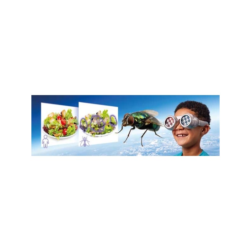 See The World Through Other's Eyes