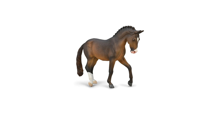 Trakehner Stallion Seal Bay