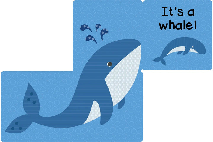 Who am I? Under the Sea Flap Book