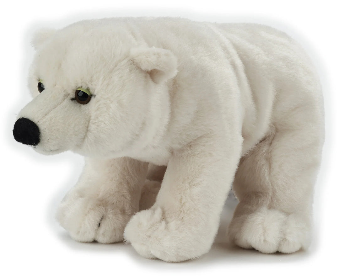 Antics Polar Bear
