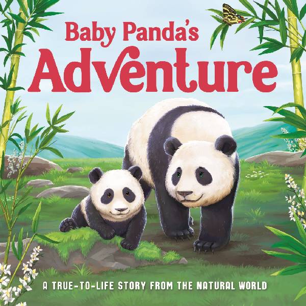 Baby Pandas Adventure Book