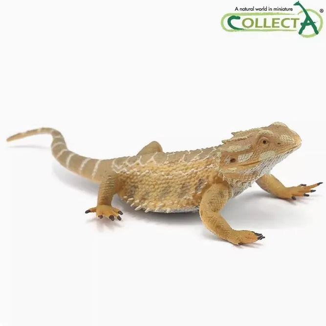 Bearded Dragon CollectA