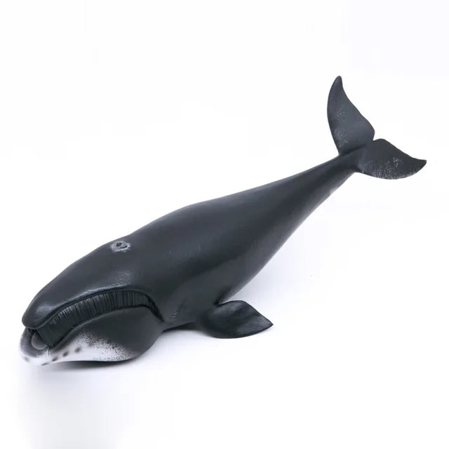 Bowhead Whale figurine Collecta