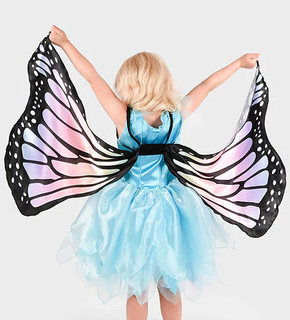 Butterfly Rainbow Wings