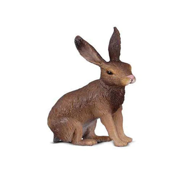 collectA Brown Hare