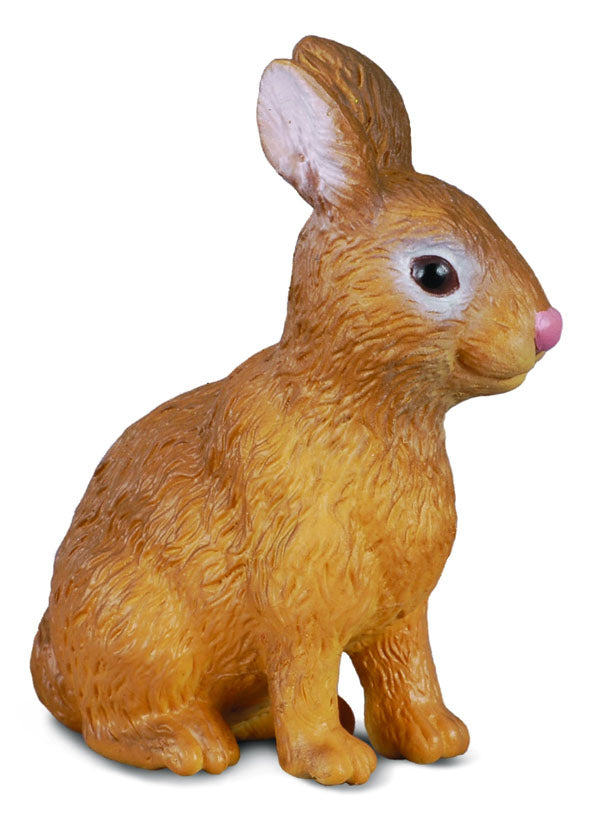 collectA Rabbit