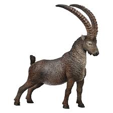 Model of a mountain goat with large horns on a white background