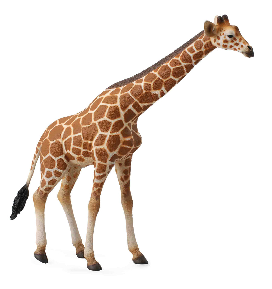 Giraffe figurine on a white background