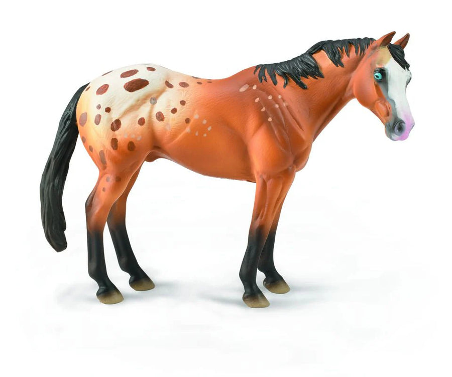 CollectA Appaloosa Stallion