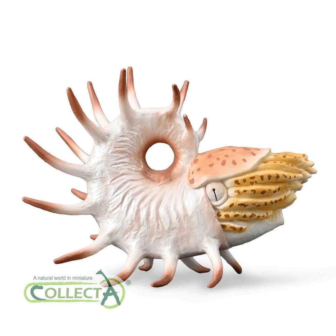 Shell-like figurine with CollectA logo on a white background