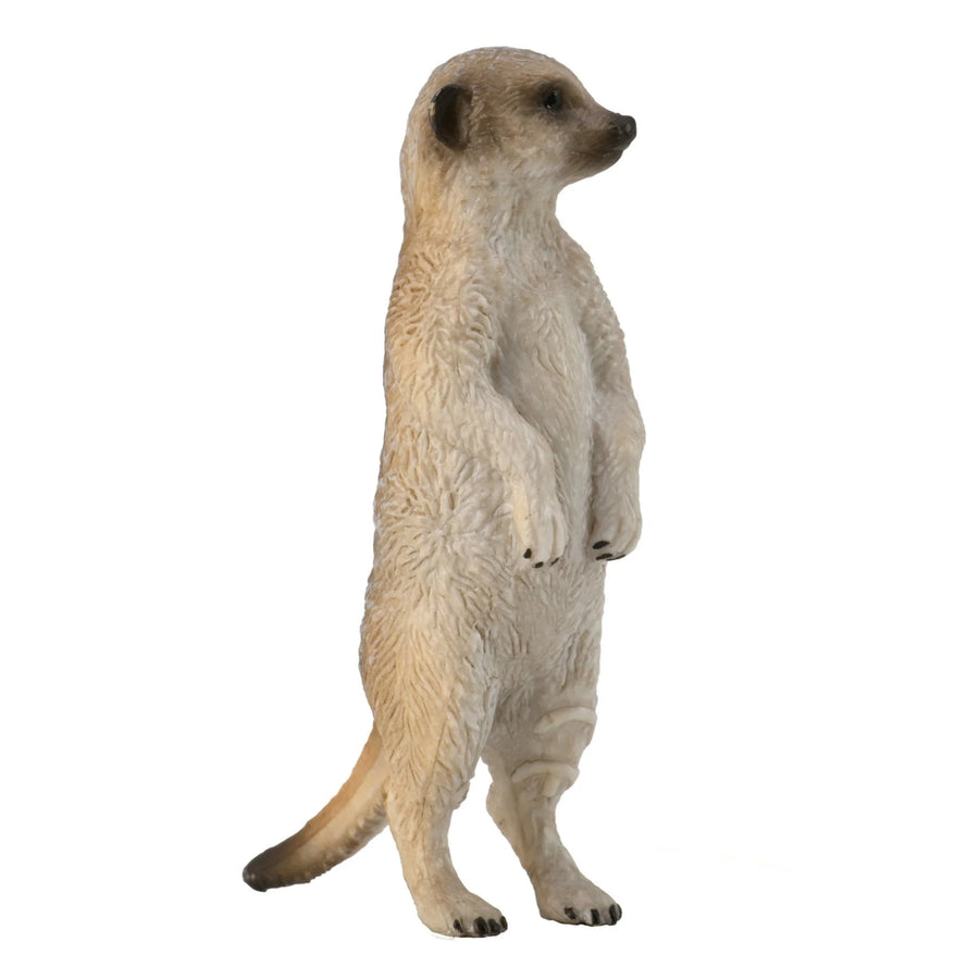CollectA Standing Meerkat