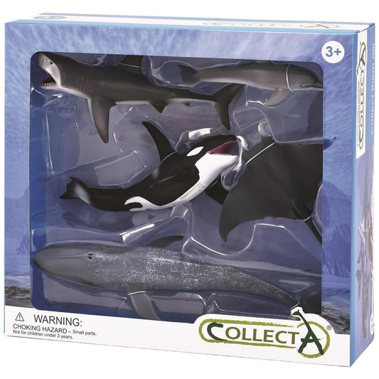CollectA Sealife with Orca Box Set 