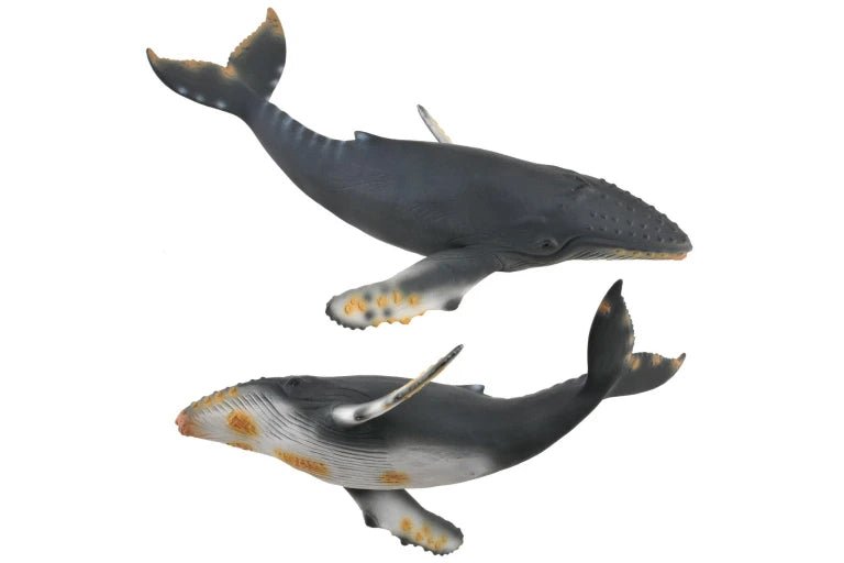 Collecta Humpback whale figurine