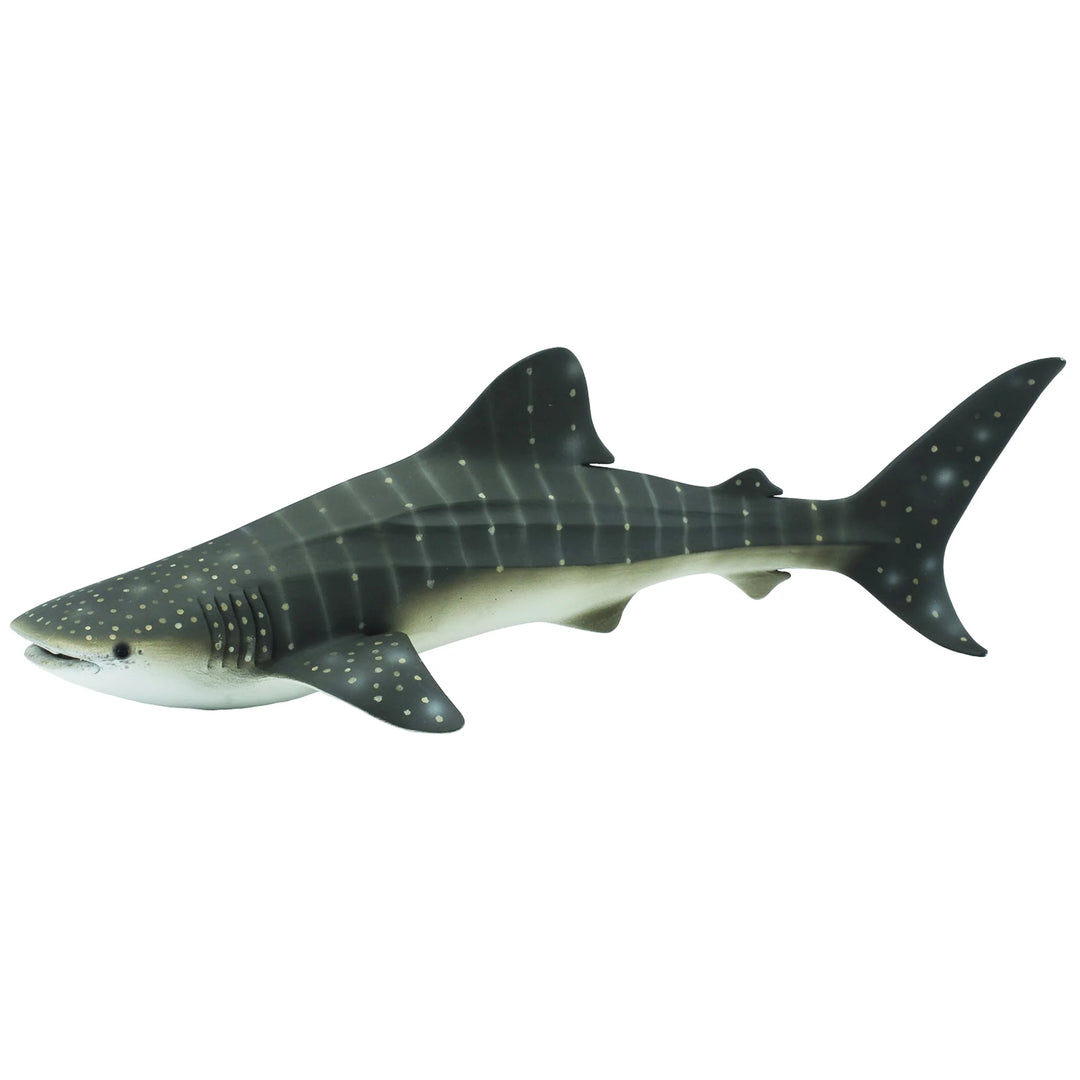 Whale Shark model on a white background