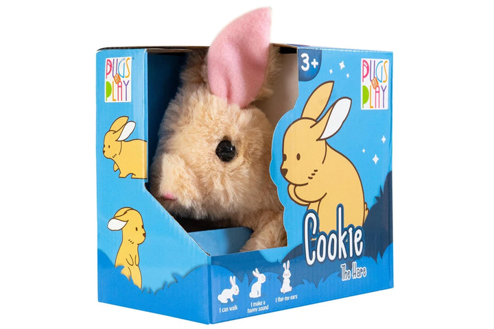 Cookie The Hare