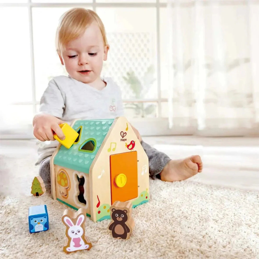 Critter House Shape Sorter Hape