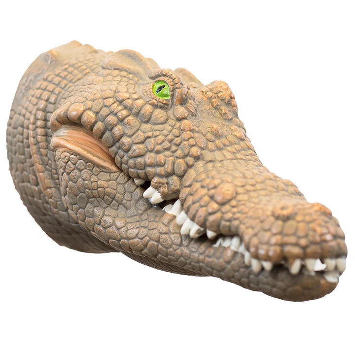 A realistic crocodile head wall decor sculpture with textured scales, an open mouth showing white teeth, and a bright green eye, isolated on a white background.