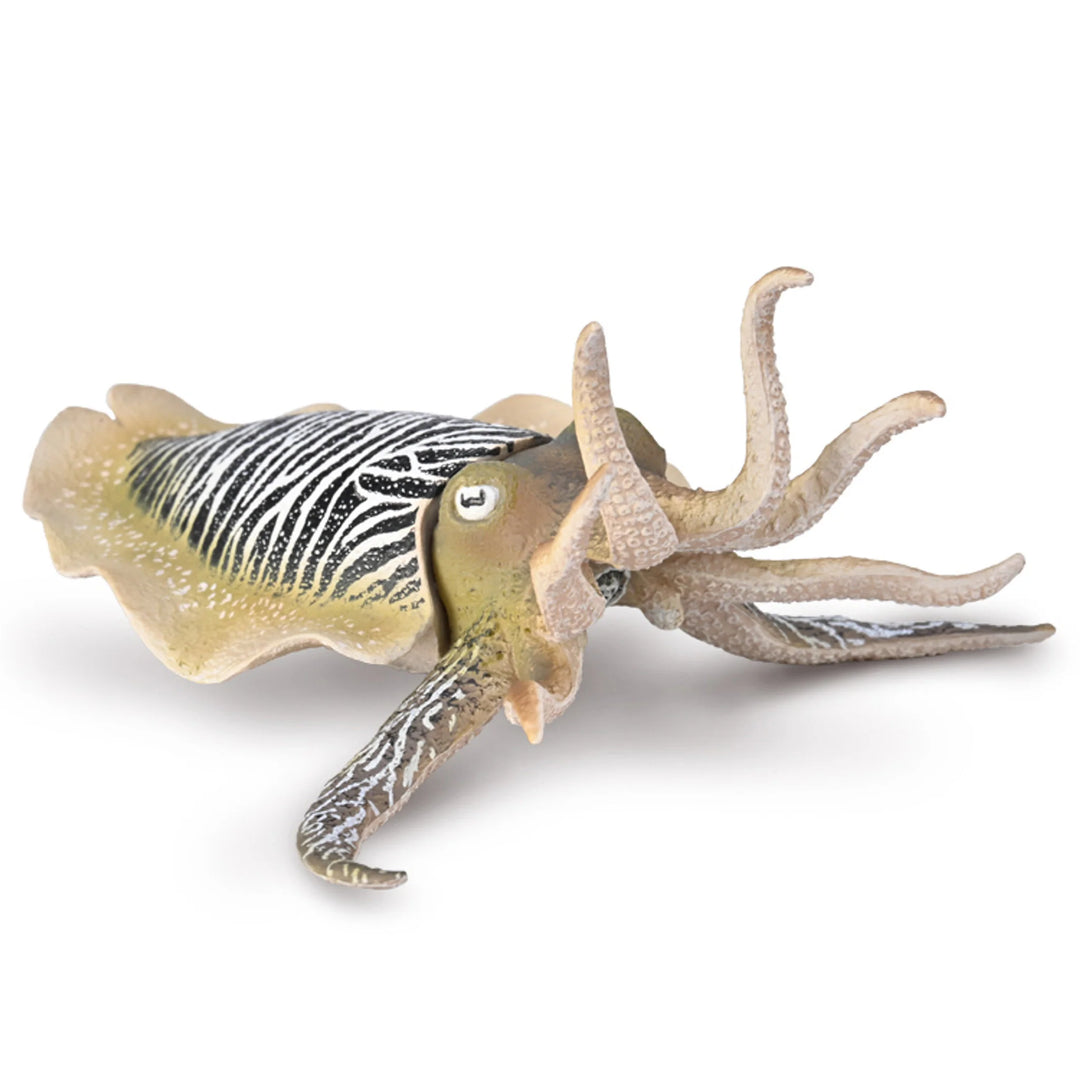 Model of a cuttlefish with zebra-like pattern on a white background
