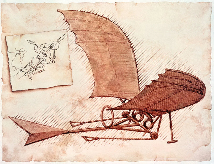 Leonardo Da Vinci Ornithopter