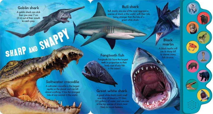 Illustrated book page with various marine animals and colorful side panel.