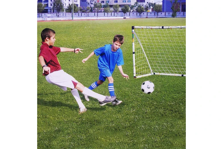 Two children playing soccer on a grass field with a goalpost.
