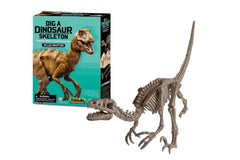 Dig a Dinosaur Skeleton- Velociraptor