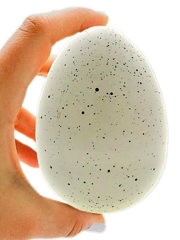 Growing Hatching Lizard Egg