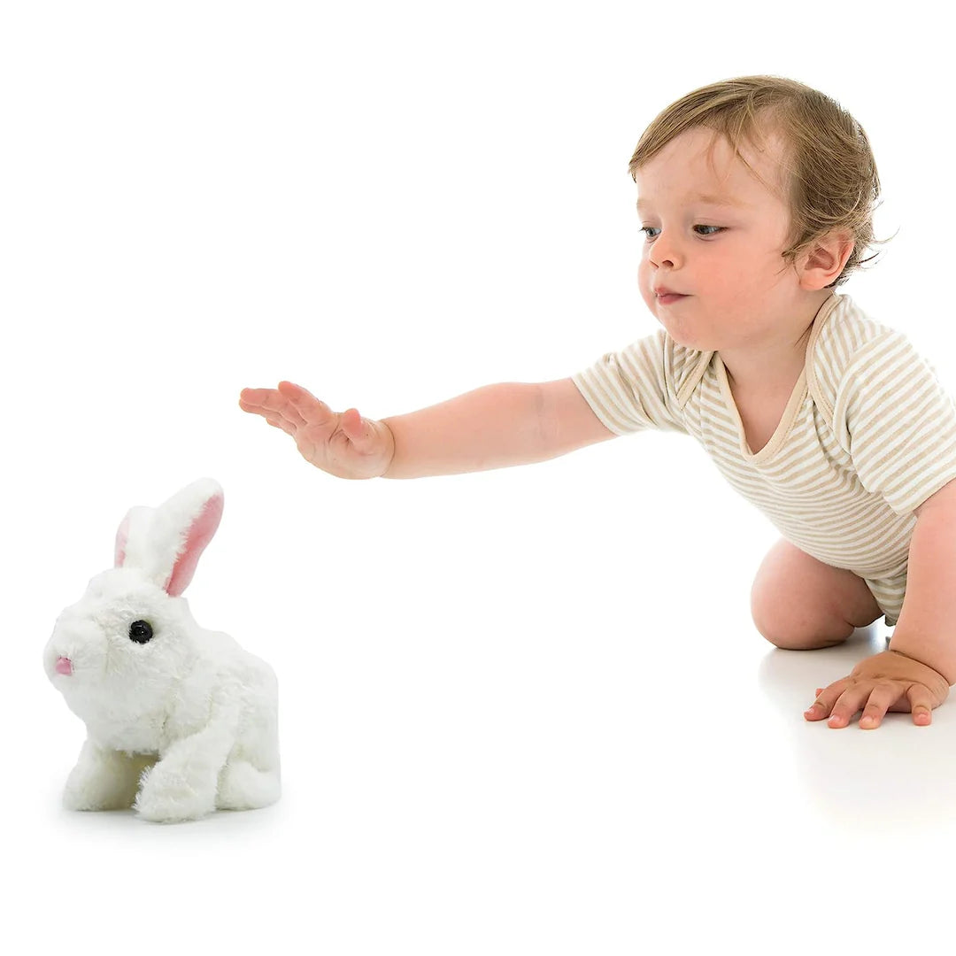 Baby reaching out to a plush toy rabbit on a white background