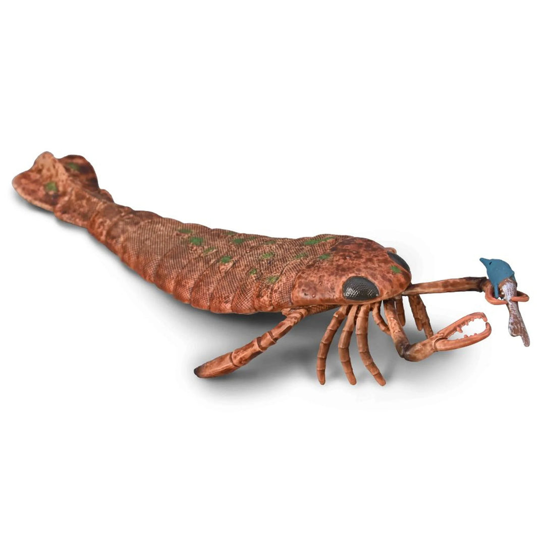 Toy resembling a crawfish on a white background