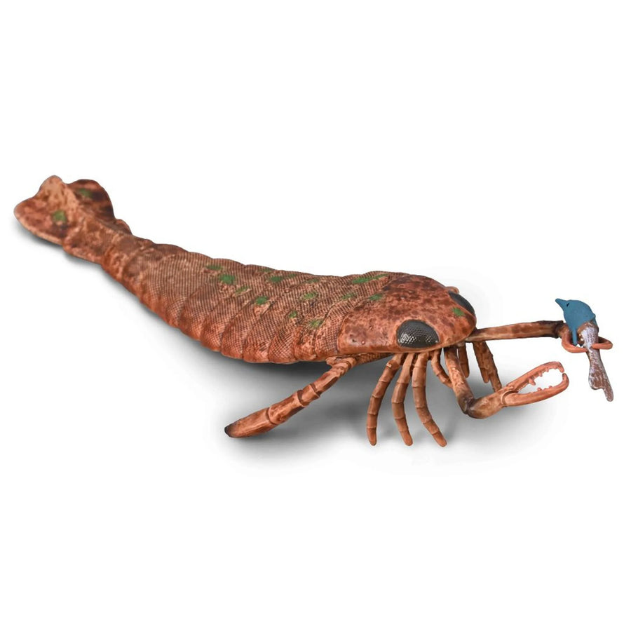 Toy resembling a crawfish on a white background