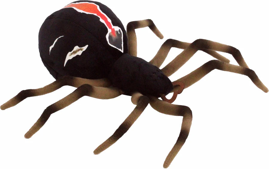 Katipo Spider new zealand Antics