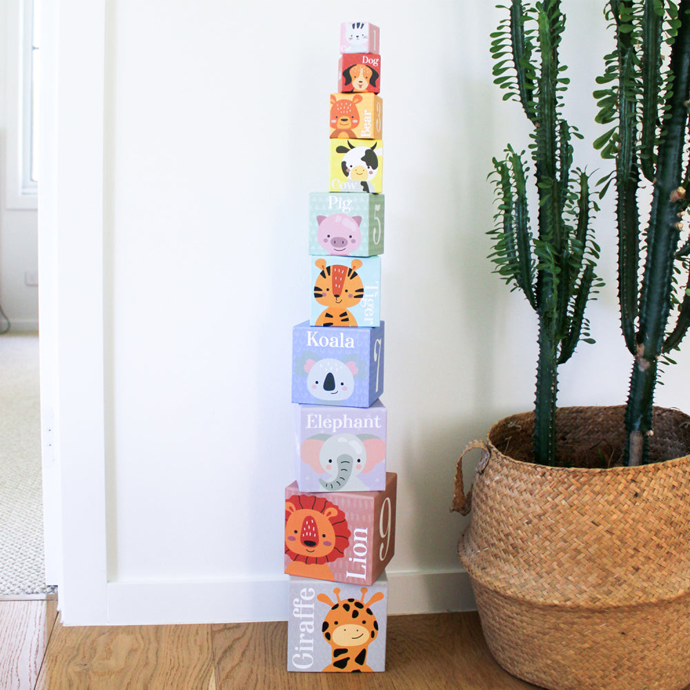 Stacking and Nesting Blocks