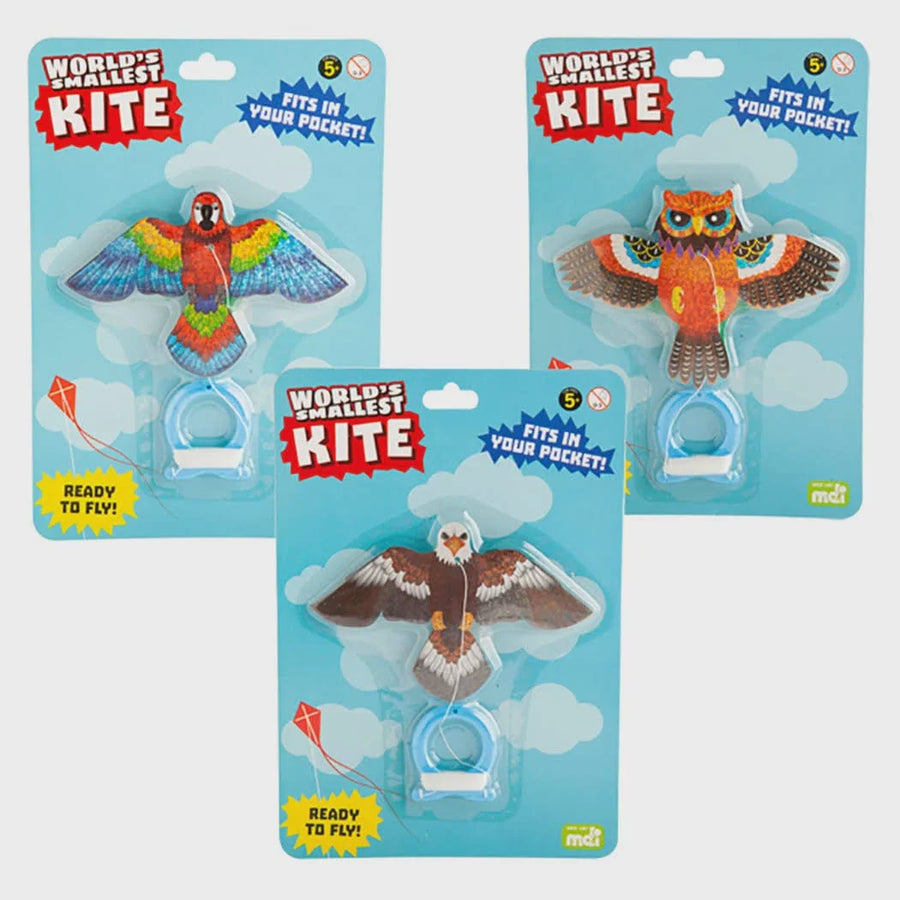 worlds smallest kite pocket kites