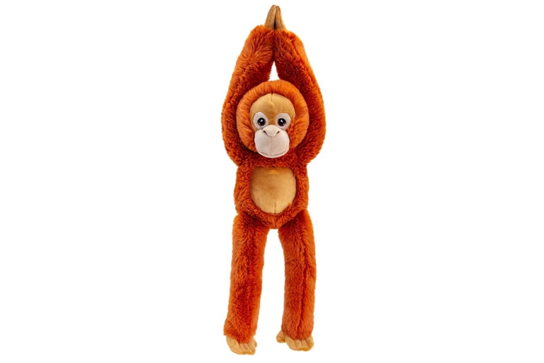Long Orangutan