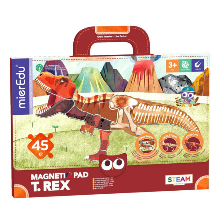 Dinosaur-themed educational toy set packaging with a T. Rex design on a white background
