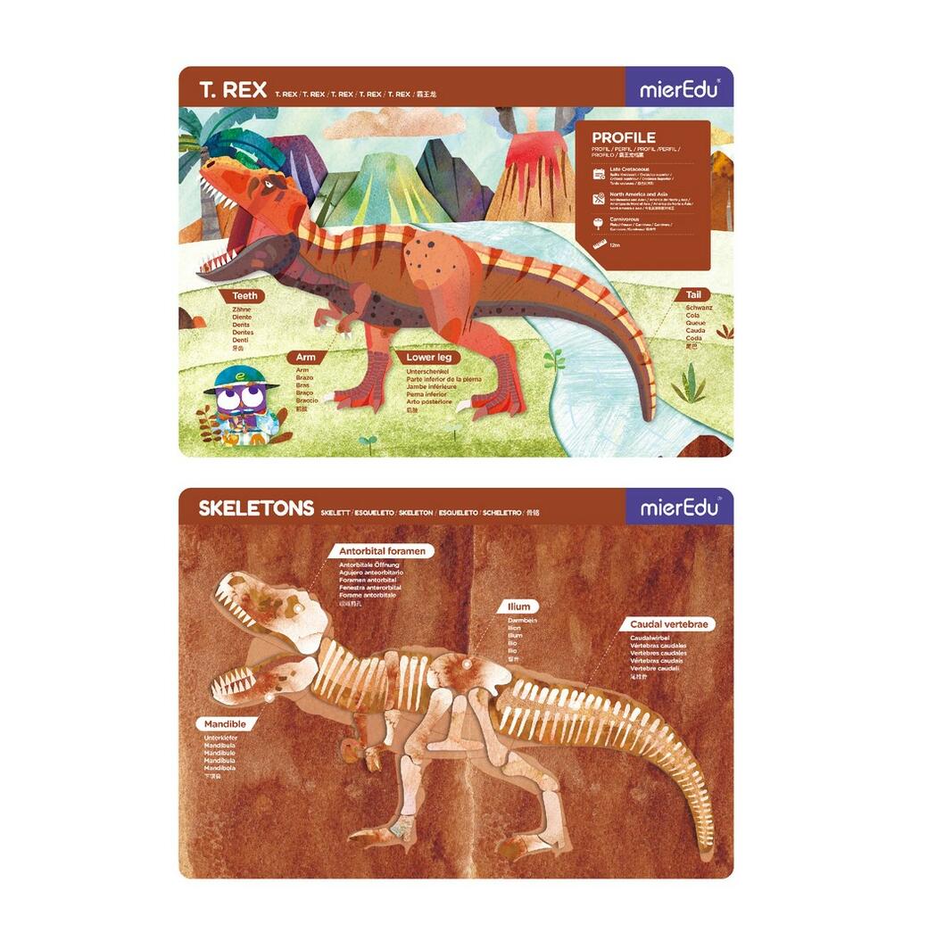 Two educational posters about T. Rex, one with a dinosaur illustration and the other with a skeleton diagram, on a white background.