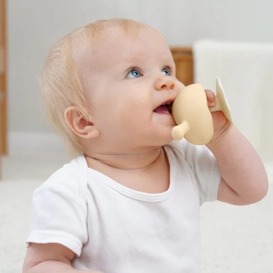 Baby holding a mombella mushroom teether with a neutral background