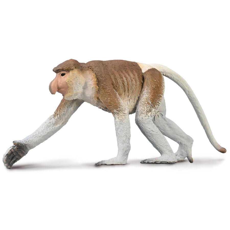 Model of a monkey on a white background