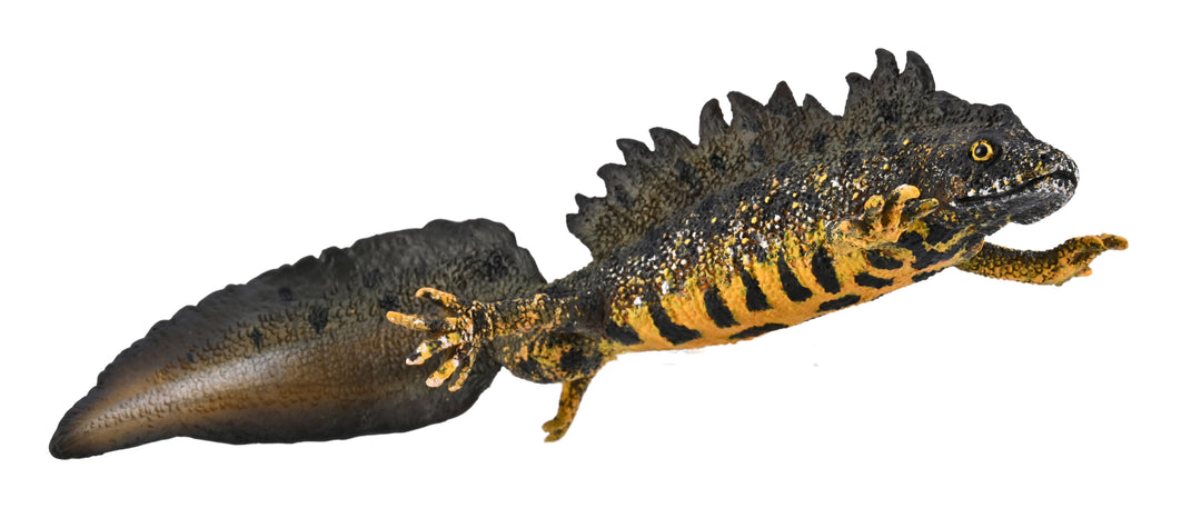 CollectA Great Crested Newt