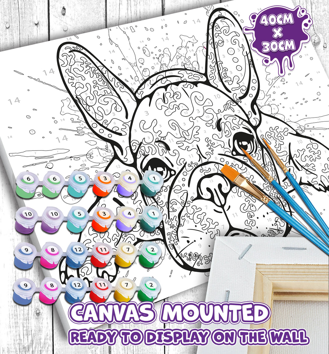 Paint By Number Kit French Bulldog - Splash Planet