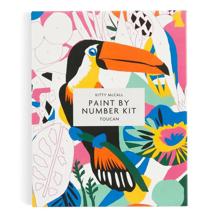 Paint By Number Kit Toucan