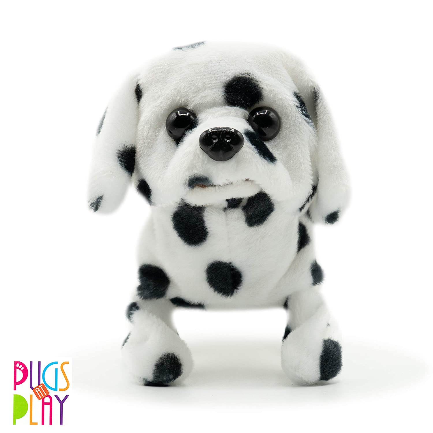 Pugs At Play Spotty The Dalmatian