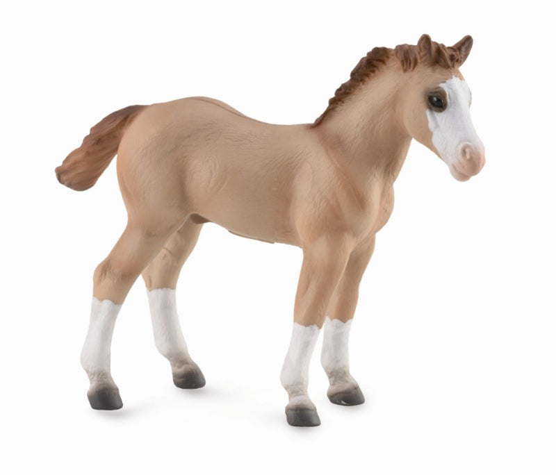 CollectA Quater Foal - Red Dun