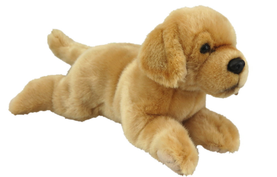 Sami Labrador - Large