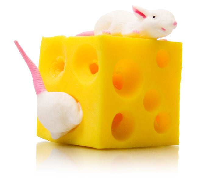 Stretchy Mouse and Cheese fidget