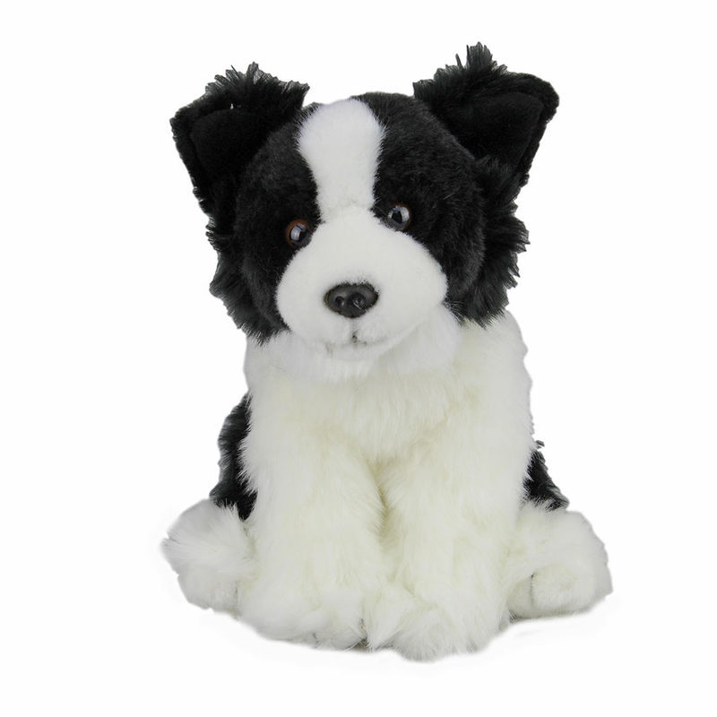Antics Tami Border Collie