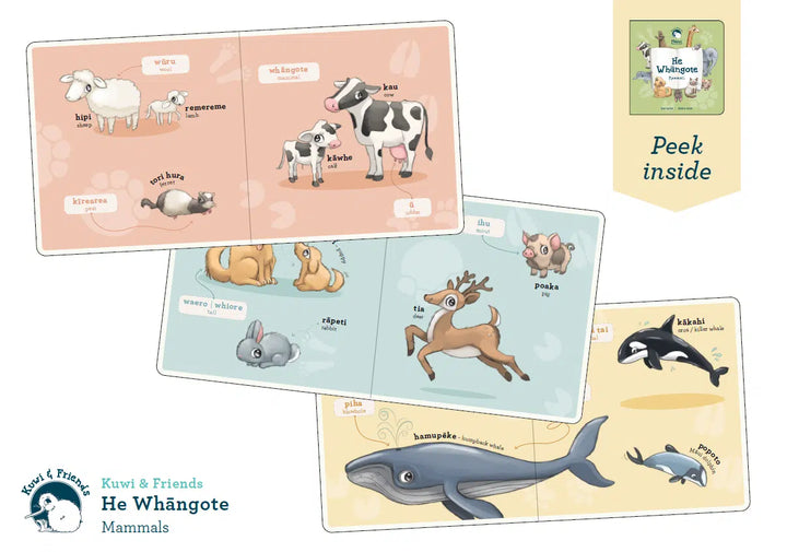 Kuwi And Friends He Whāngote Mammals