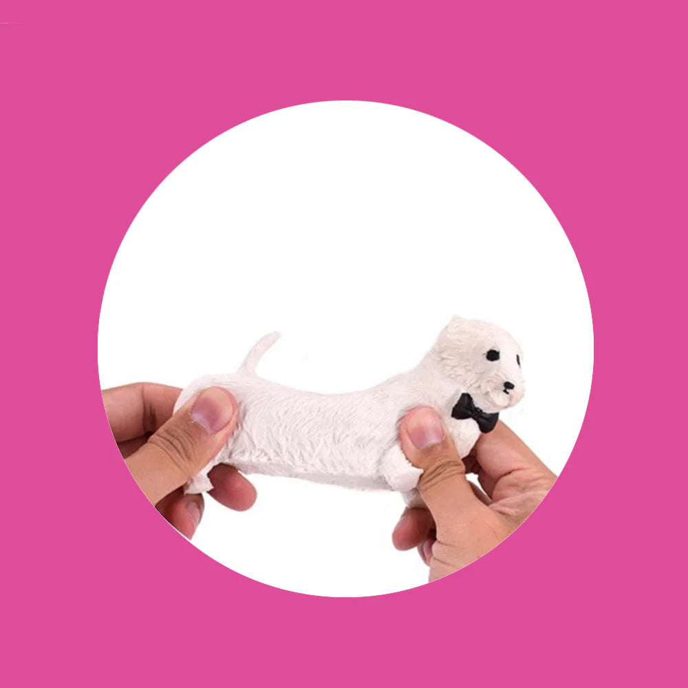 White dog stretch 